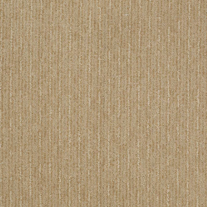 Shaw Floor Studio Meet In The Middle Nylon Field Stone 00105