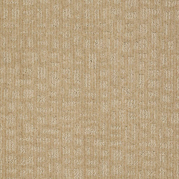 Shaw Floor Studio Flights Of Fancy Nylon Field Stone 00105