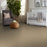 Shaw Floor Studio Best Hope Field Stone 00105 Pattern Nylon