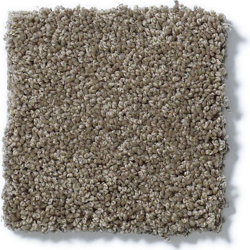 Soft Shades My Choice II Flax 00751