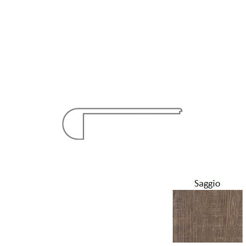 Pantheon Hd Plus Saggio VFSN5-00159