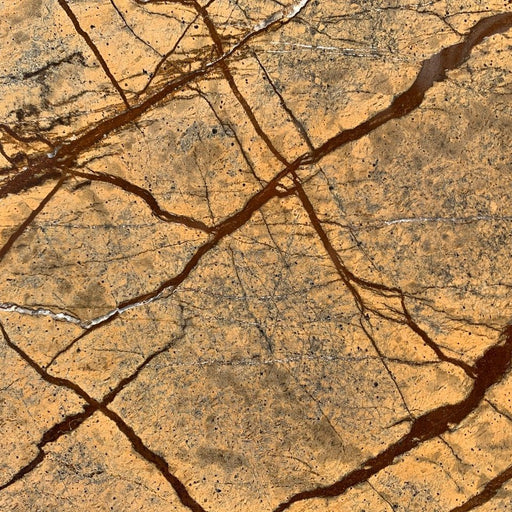 Forest Gold Marble Tile - 12" x 12" x 3/8" Polished