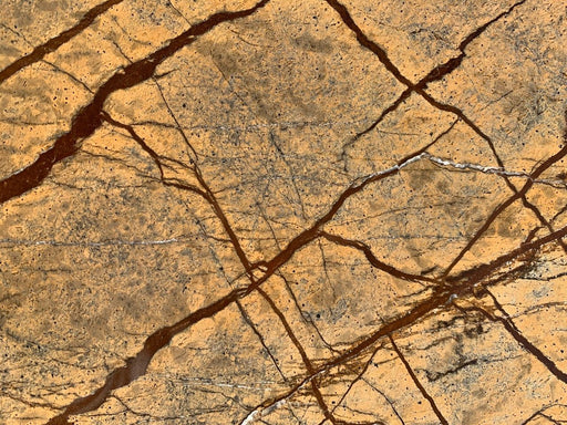 Full Tile Sample - Forest Gold Marble Tile - 12" x 12" x 3/8" Polished