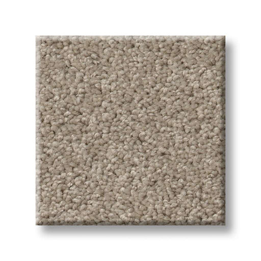 Origins II Fossil 00564
