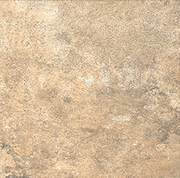Full Tile Sample - Petrous Walnut V17 Porcelain Tile - 12" x 12" x 10 MM Matte - Clearance Sale!