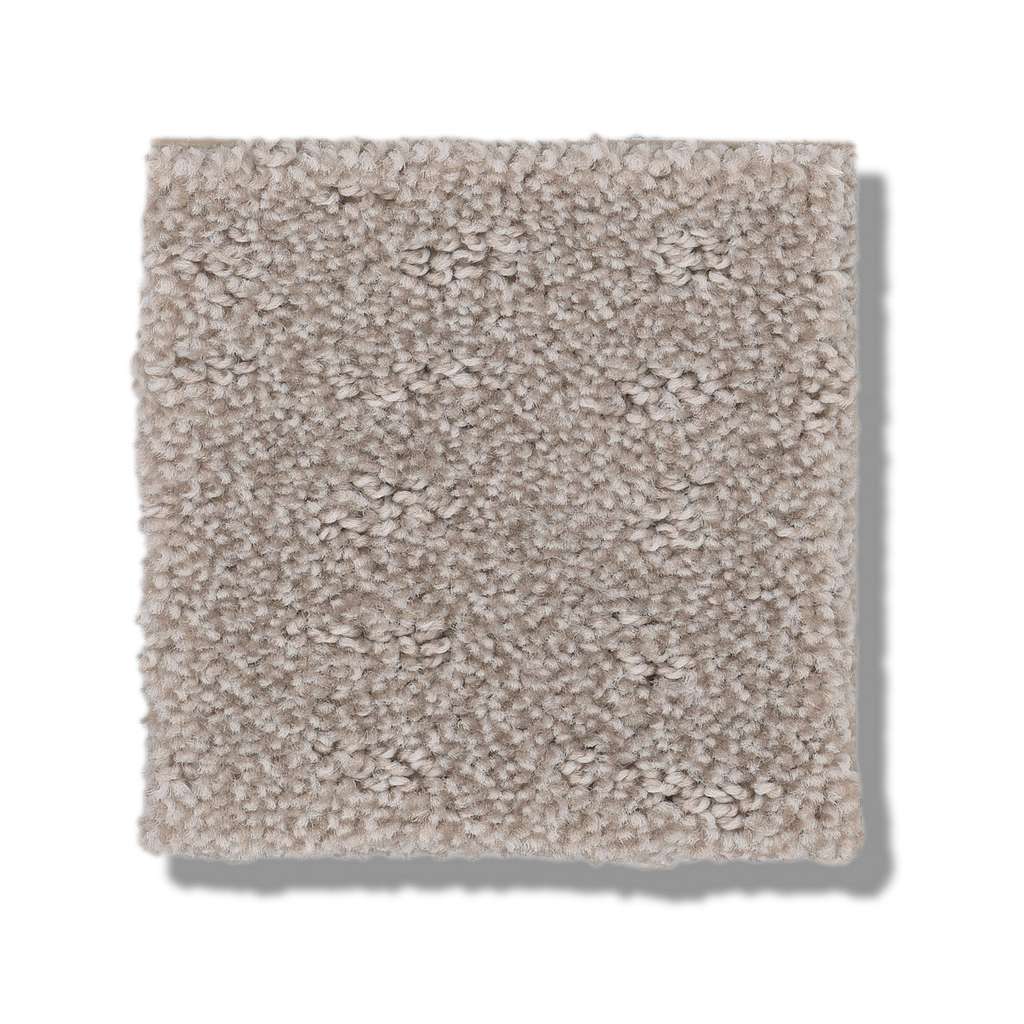 Shaw Foundations Chic Nuance 00108 Fossil Path Pattern Nylon Carpet ...