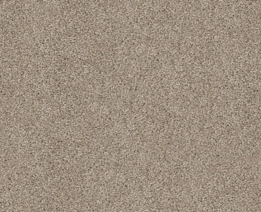 Orlando PV Fossil 00564
