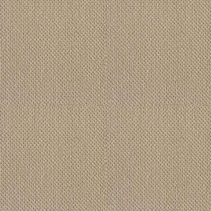 Timeless Charm Loop Nylon French Linen 00103