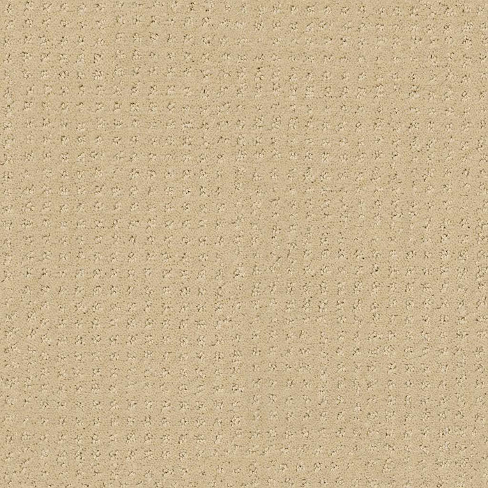 My Choice Pattern Nylon French Linen 00103