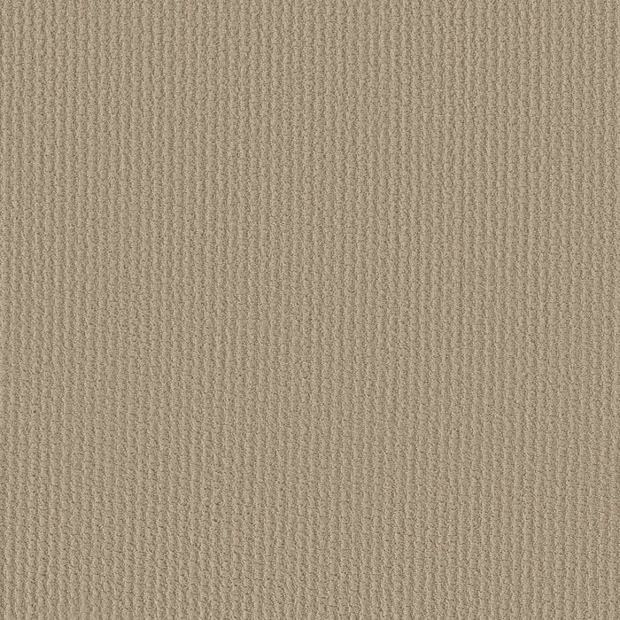 Shaw Floor Studio Best Hope Nylon Frost 00104