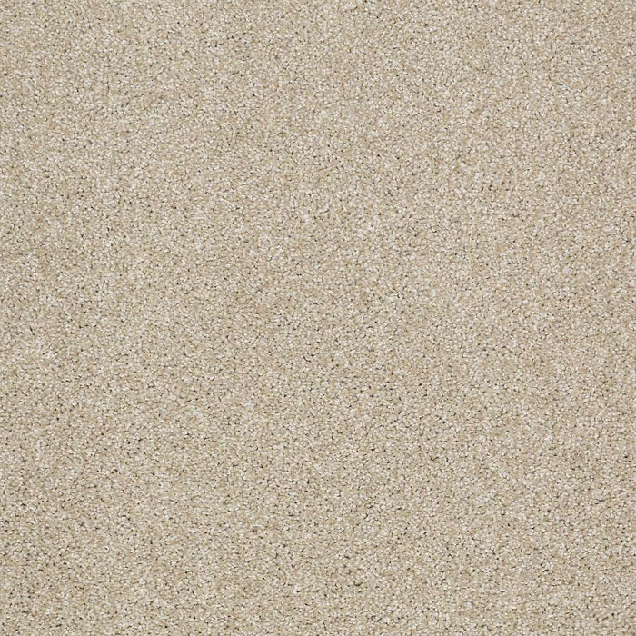 Shaw Floor Studio Gelato Frost Textured 00104