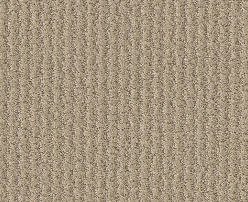 Shaw Ace 00104 Frost Pattern Nylon Carpet Lowest Price — Stone & Tile