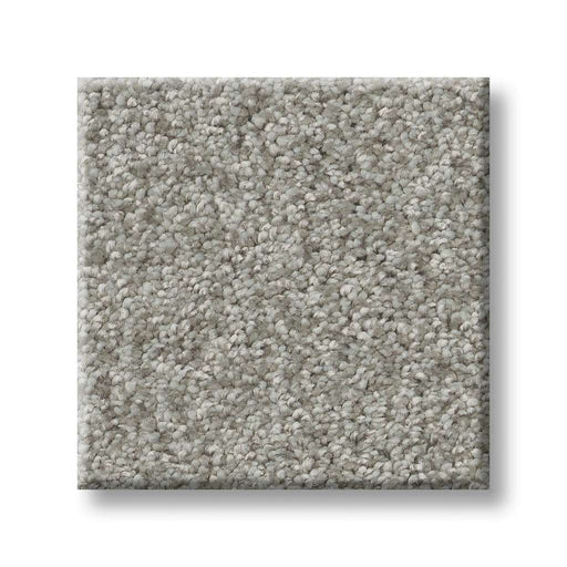 Pet Perfect You Got This III Frosted Leaf 00353