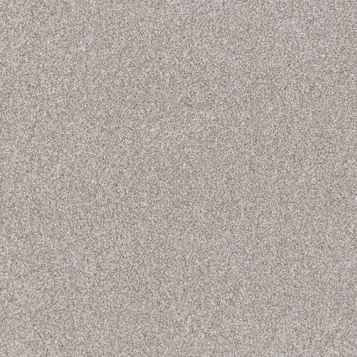 Pet Perfect Yes You Can I 12' Frozen 00107