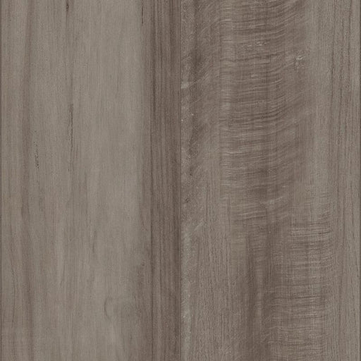 Gm100 Oyster Oak GM100-00591