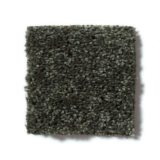 All Star Weekend II 15' Garden Grove 00301