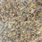 Full Tile Sample - Giallo Veneziano Granite Tile - 12" x 12" x 3/8" Polished