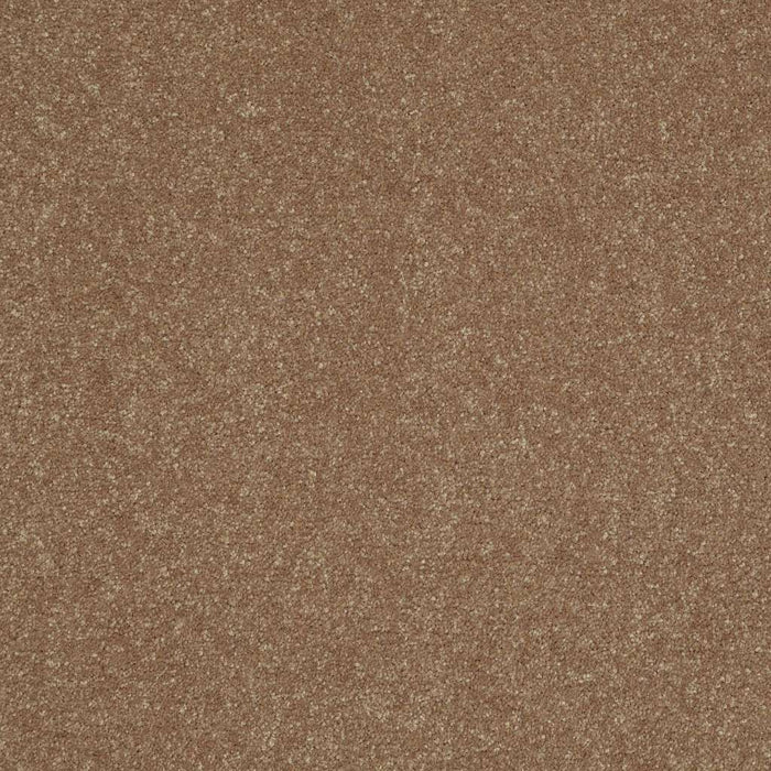 Shaw Floor Studio Home News III 15' Polyester Gingersnaps 00201