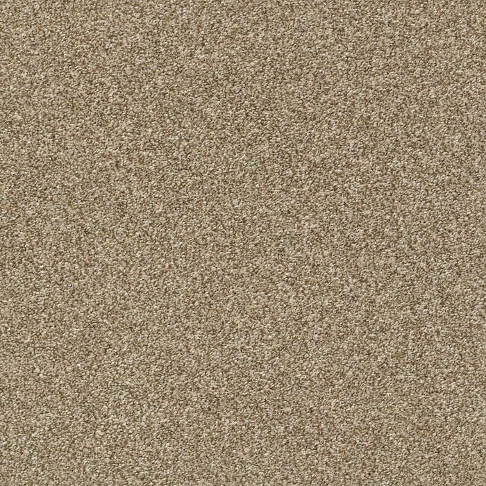 Pet Perfect Plus Just A Hint II Polyester Gold Rush 00200