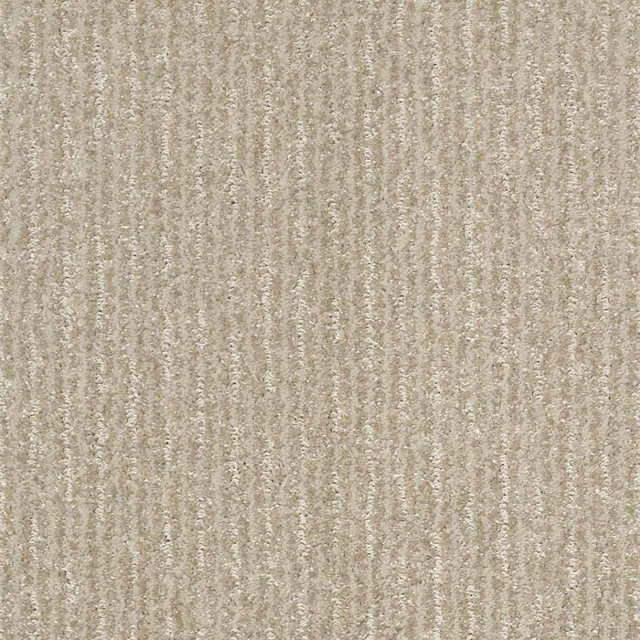 Pet Perfect Plus Outside The Lines Polyester Gold Rush 00200