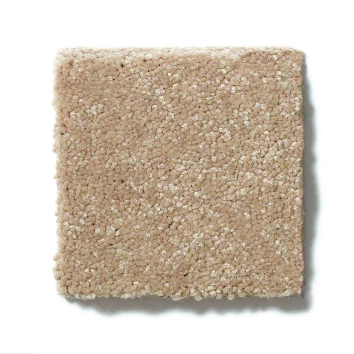 Shaw Floor Studio Home News II 15' Golden Lab 00200