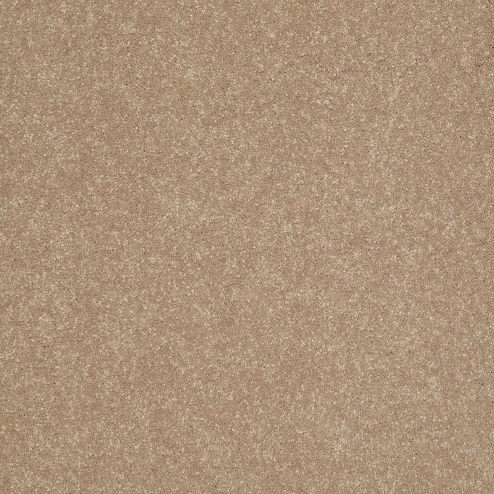 Shaw Floor Studio Home News III 15' Polyester Golden Lab 00200