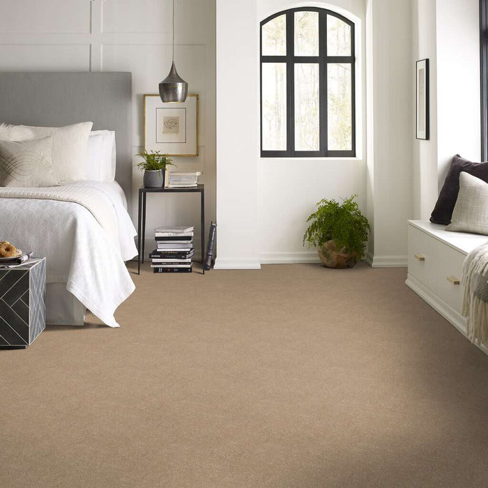 Shaw Floor Studio Home News III 12' Golden Lab 00200 Textured Polyester