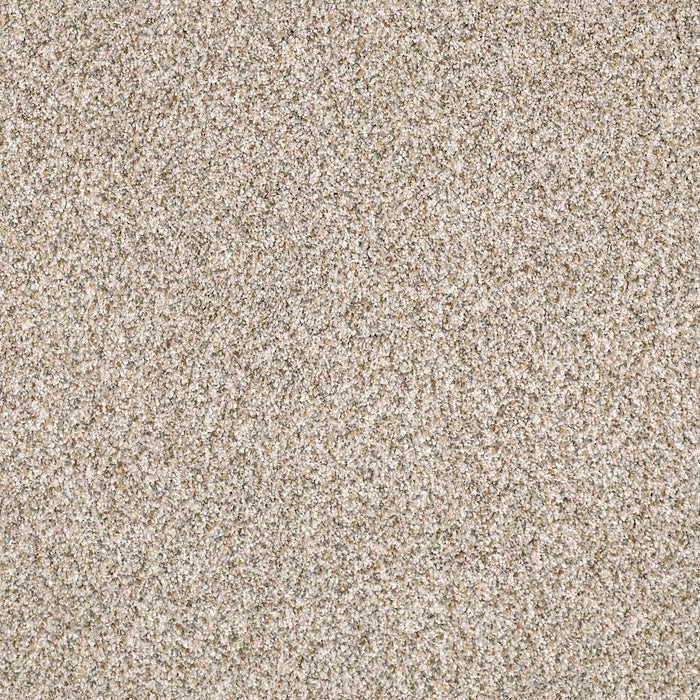 Caress By Shaw Devon Classic III Nylon Granite 0741B