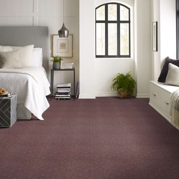 Shaw Floor Studio Around The House II Grape Fizz Textured 00900