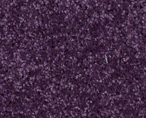 XV882 Grape Jelly 00931