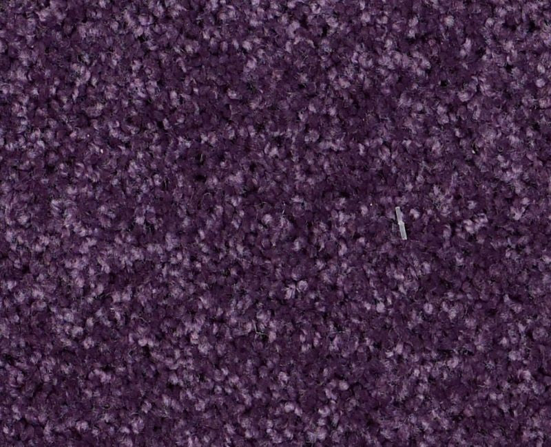 XV882 Grape Jelly 00931