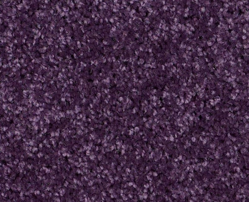 XV304 Grape Slushy 00931