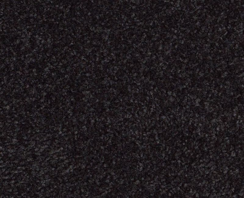 Platinum Cut Pile 12' Graphite 00503