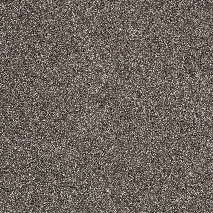 Shaw Floor Studio Gelato Nylon Graphite 00712