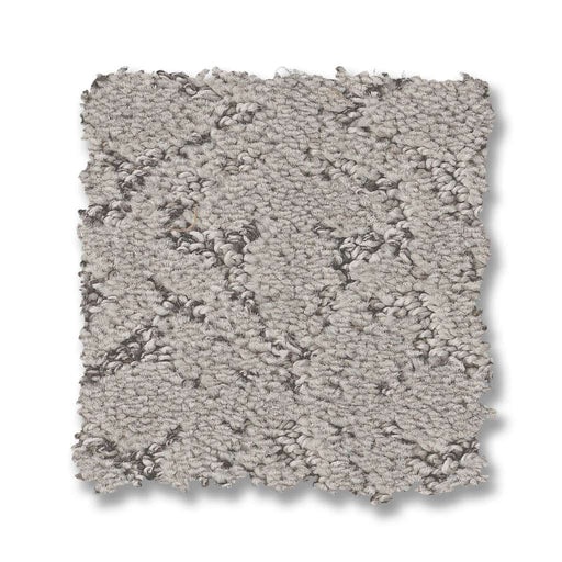 Pet Perfect Plus Light Impressions Gravity 00556