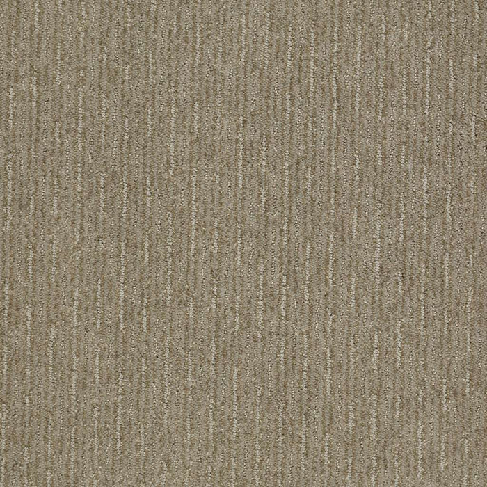 Shaw Floor Studio Meet In The Middle Nylon Gray Flannel 00511