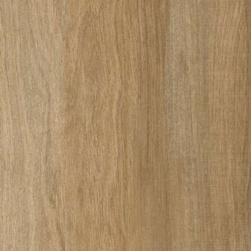 Greenwood Noce Porcelain Tile - Honed