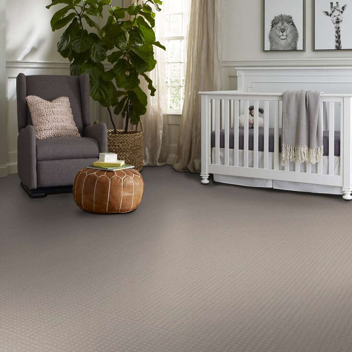 Shaw Floor Studio Style With Ease Grey Dove 00500 Pattern Nylon