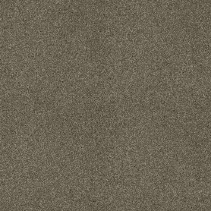 Shaw Floor Studio Around The House III Nylon Grey Flannel 00501