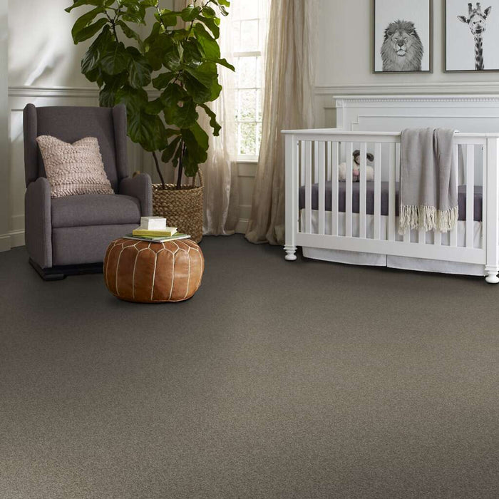 Shaw Floor Studio Around The House I Grey Flannel 00501 Textured Nylon