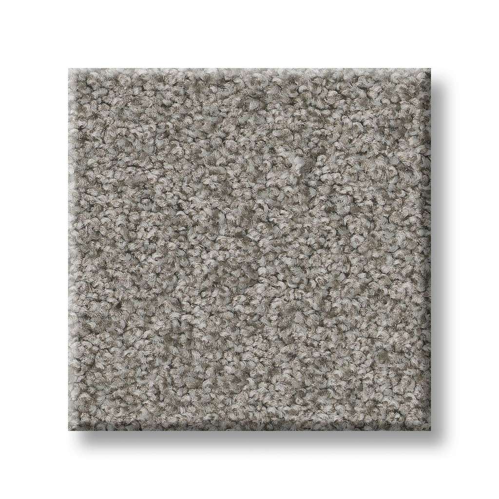 Shaw Foundations Harmonious II 00504 Grey Fox Textured Nylon Carpet ...