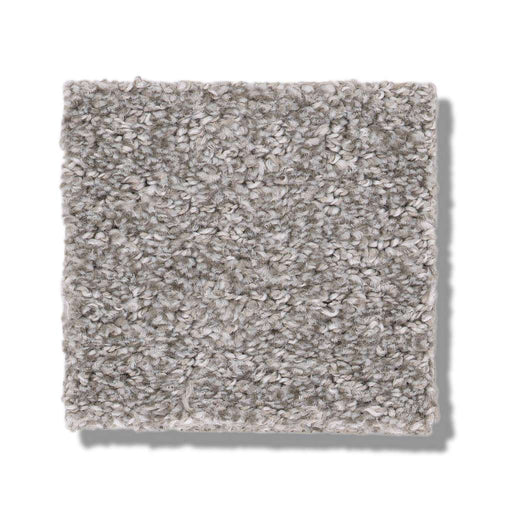 Pet Perfect Plus Secret Passage Grey Fox 00504