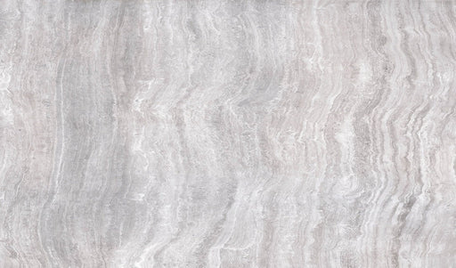 Zenit Grey IRG2448192