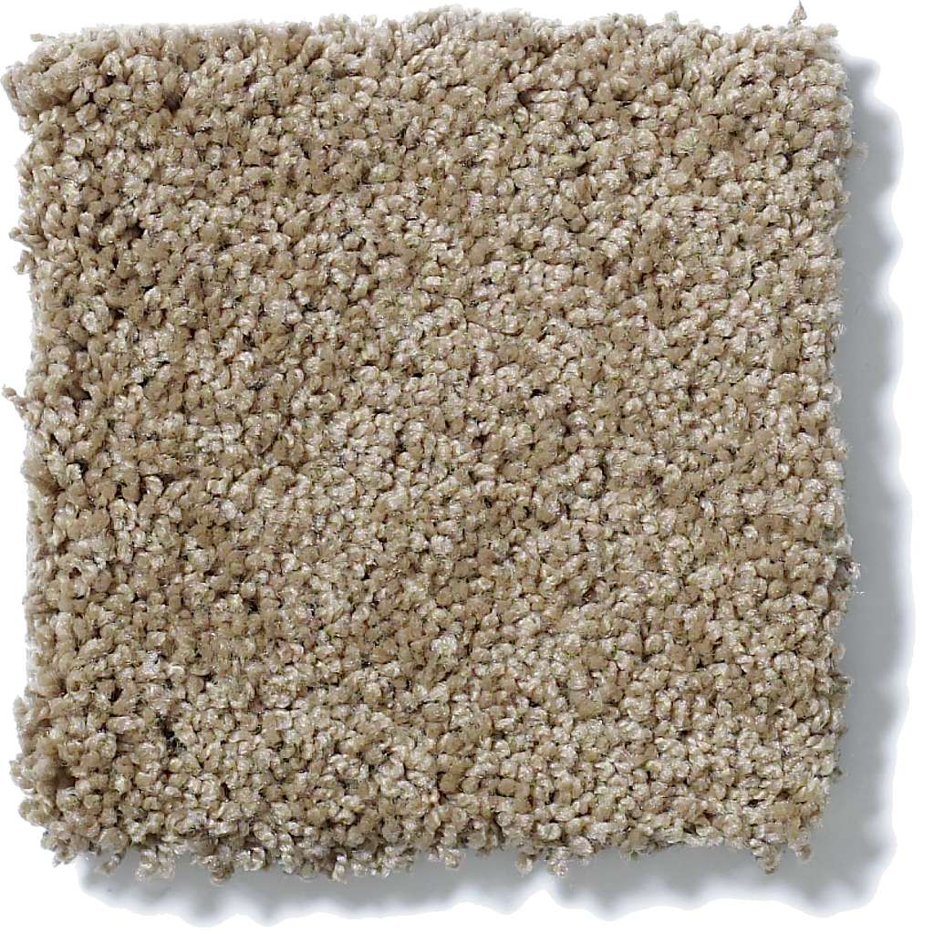 Shaw Foundations Keen Senses I 00796 Grounded Textured Nylon Carpet