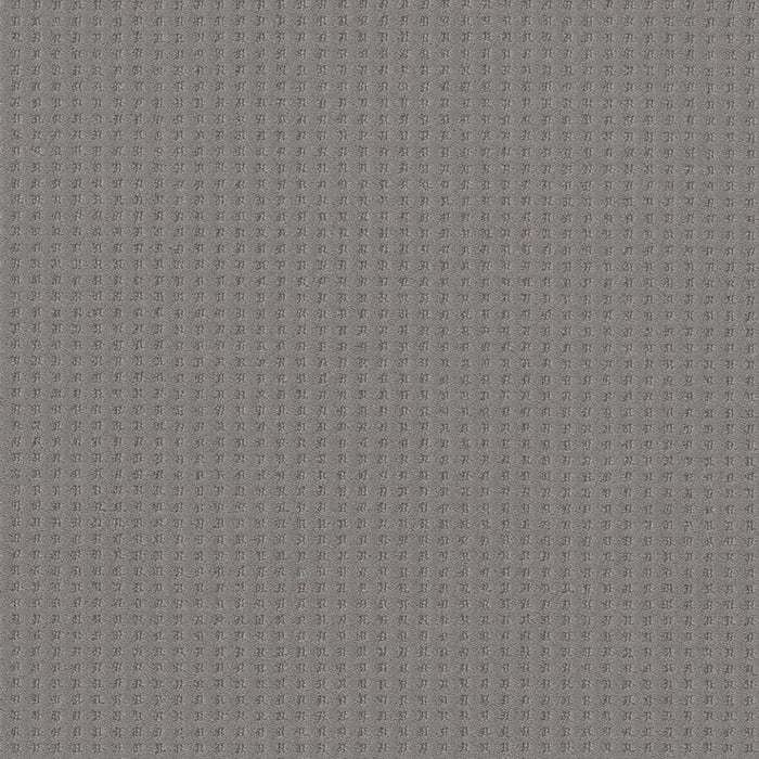 Caress By Shaw Soft Symmetry Nylon Grounded Gray 00536