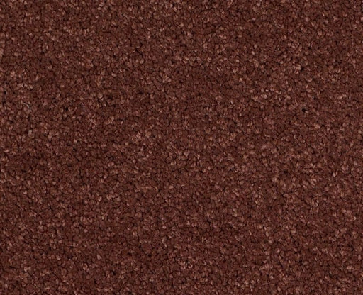 Pelotage IV Guanaco 00603