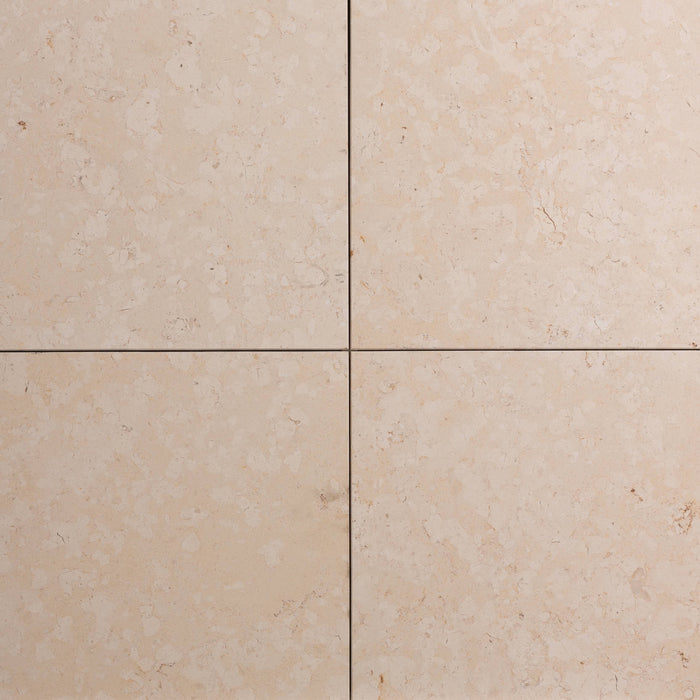 St. Croix Limestone Tile - 12" x 12" x 3/8" Honed