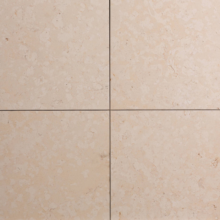 St. Croix Limestone Tile - 12" x 12" x 3/8" Honed