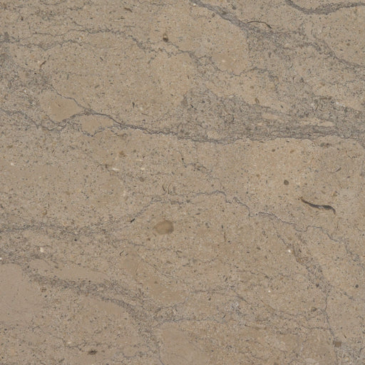 Azul Valverde Limestone Tile - Honed