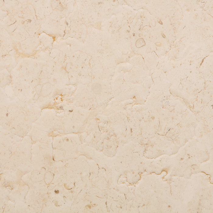 Jerusalem Bone Limestone Tile - Brushed